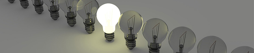 bulbs